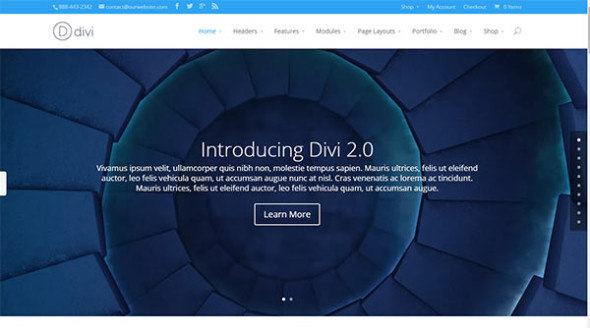 Divi-Theme