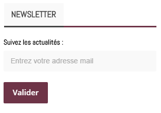 Newsletter-Wordpress-Mailchimp