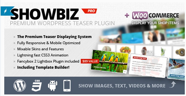WordPress---Showbiz-Pro-Responsive-Teaser-WordPress