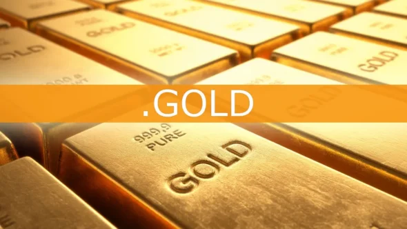 miniature-enregistrer-un-nom-de-domaine-gold