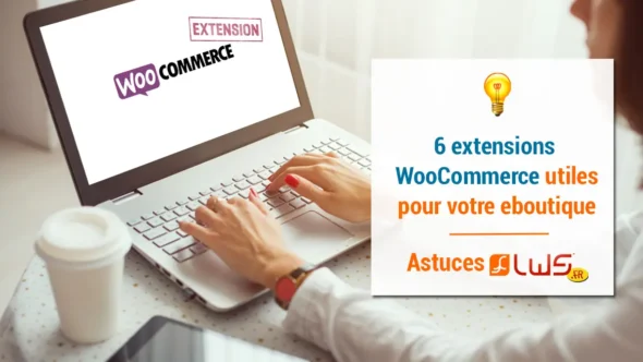 miniature-6-extensions-woocommerce-eboutique