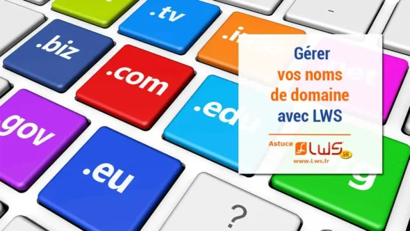 miniature-lws-la-gestion-de-vos-domaines