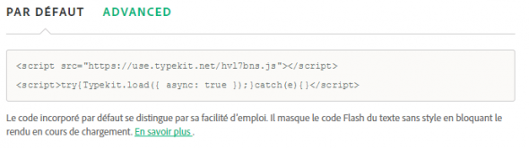 Polices personnalisées WordPress