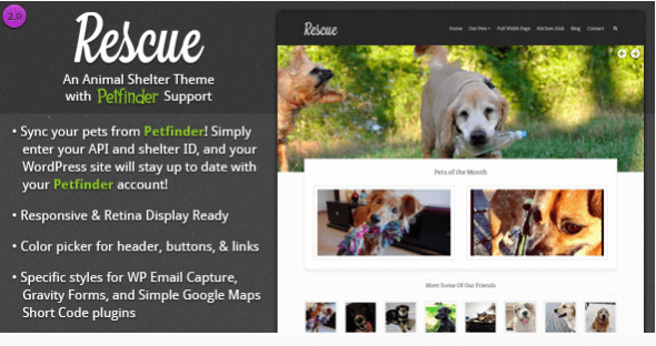 plugins et thèmes WordPress