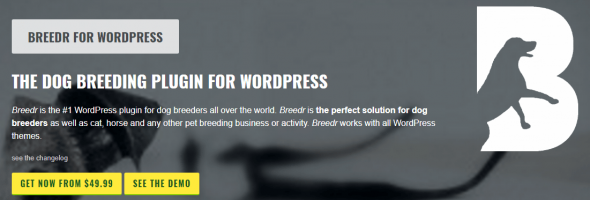plugins et thèmes WordPress