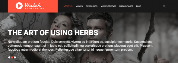 thèmes vidéos WordPress