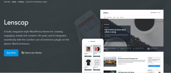 thèmes vidéos WordPress