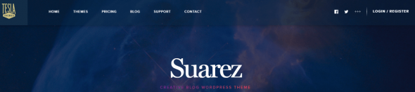 thèmes vidéos WordPress