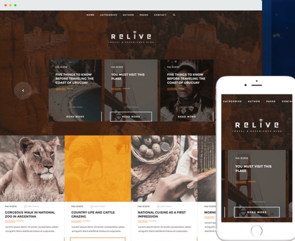thèmes vidéos WordPress