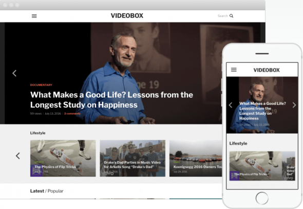 thèmes vidéos WordPress