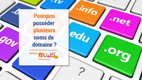 miniature-pourquoi-est-ce-important-de-posseder-plusieurs-domaines-pour-une-marque