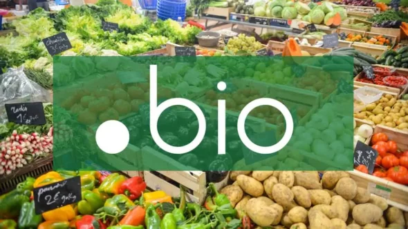 miniature-nom-de-domaine-bio