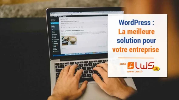 miniature-wordpress-la-meilleure-option-pour-les-petites-entreprises