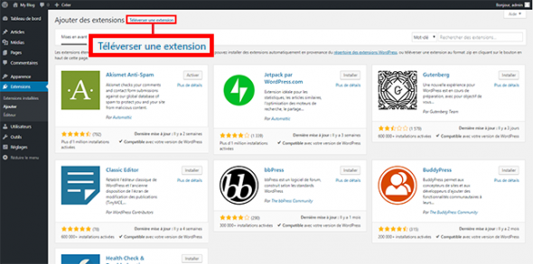 Plugin WP Rocket