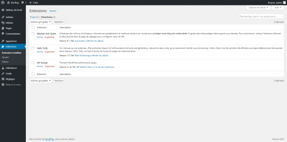 Plugin WP Rocket