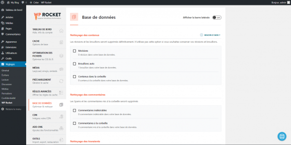 Plugin WP Rocket