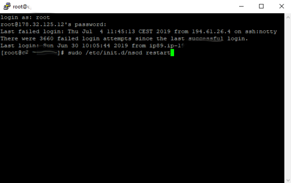 flush DNS