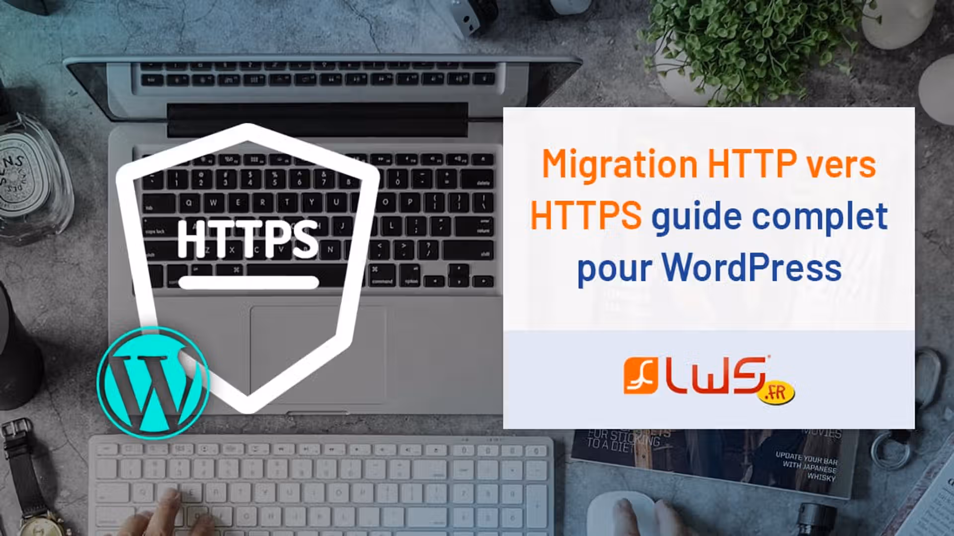 Migration HTTP vers HTTPS : guide complet pour Wordpress