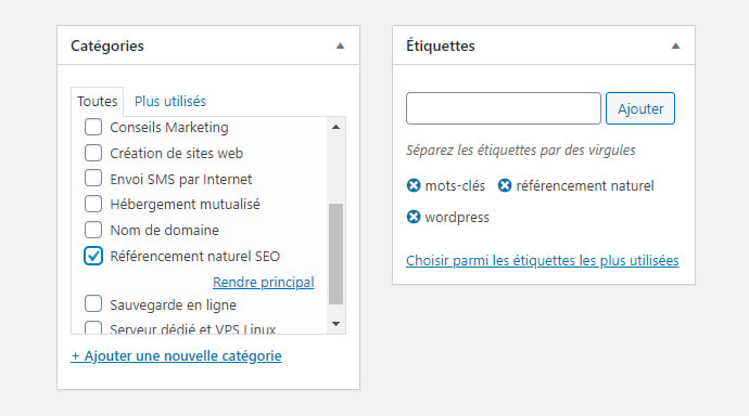 mots clés seo wordpress