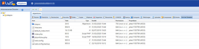 Gestion fichier LWS