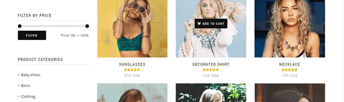 ecommerce