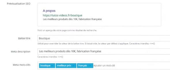 référencement SEO
