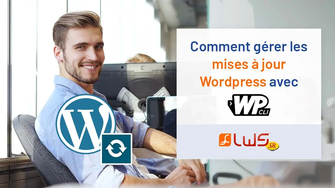 Comment gérer les mises à jour Wordpress avec WP-Cli ?