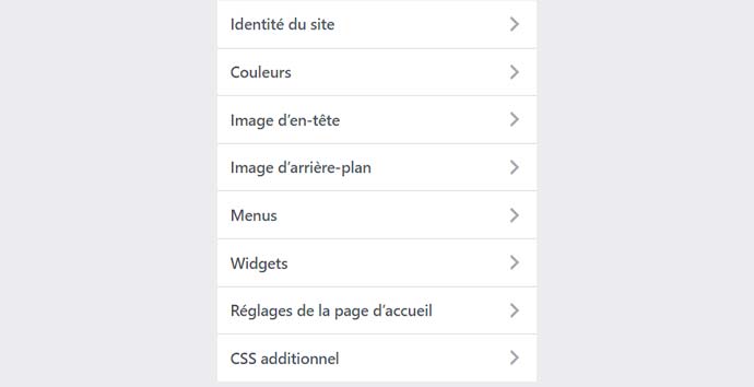 éditeur de thème WordPress