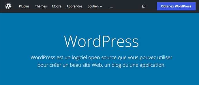 création de site web WordPress