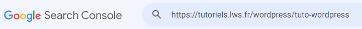 Google Search Console vérifier page