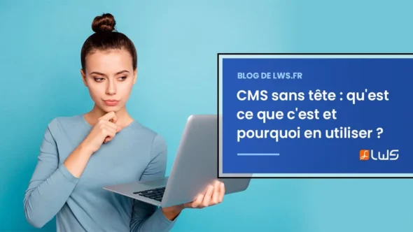 miniature-cms-sans-tete