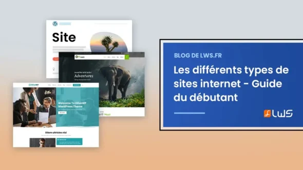 miniature-les-differents-types-de-sites-internet-chacun-sa-fonction-guide-du-debutant