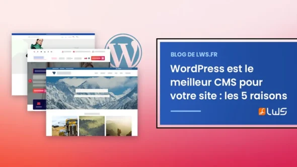 miniature-wordpress-est-le-meilleur-cms-pour-votre-site-web-les-5-raisons