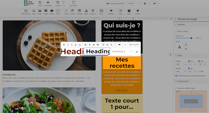 Concepteur de sites web