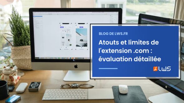 miniature-atouts-et-limites-de-lextension-com