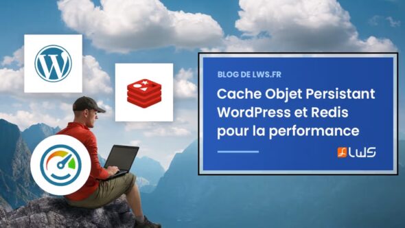 miniature-cache-objet-persistant-wordpress-et-redis-la-combinaison-parfaite-pour-la-performance