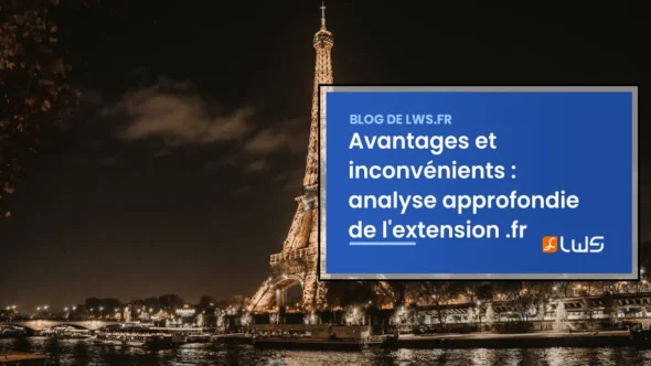miniature-avantages-et-inconvenients-de-lextension-fr