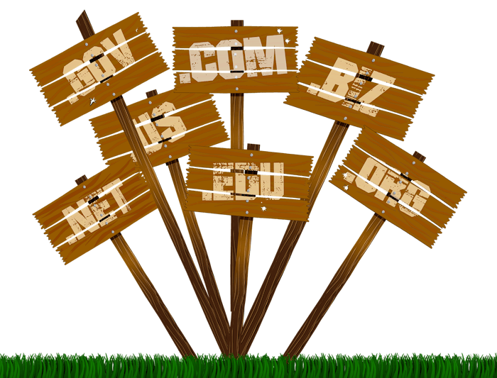 Dissection de l'extension site