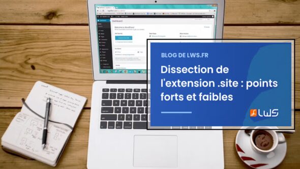 miniature-dissection-de-lextension-site