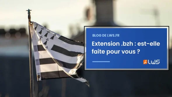 miniature-qualites-et-defauts-sondage-de-lextension-bzh