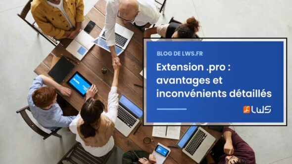 miniature-avantages-et-obstacles-lexamen-de-lextension-pro