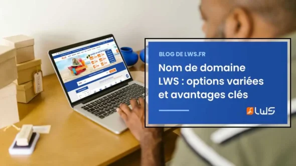 miniature-tout-sur-le-nom-de-domaine-lws