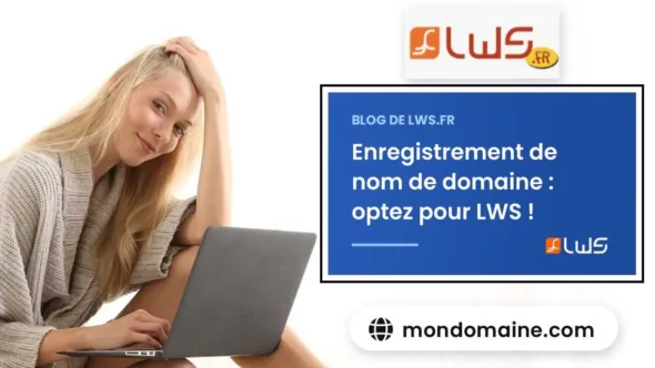 miniature-enregistrement-de-nom-de-domaine-chez-lws
