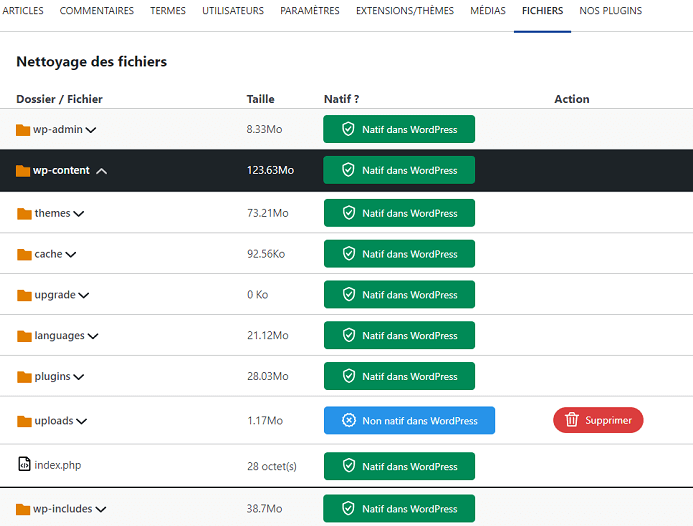 Supprimez les fichiers non natifs et optimisez vos paramètres système avec LWS Cleaner Supprimez les fichiers non natifs et optimisez vos paramètres système avec LWS Cleaner