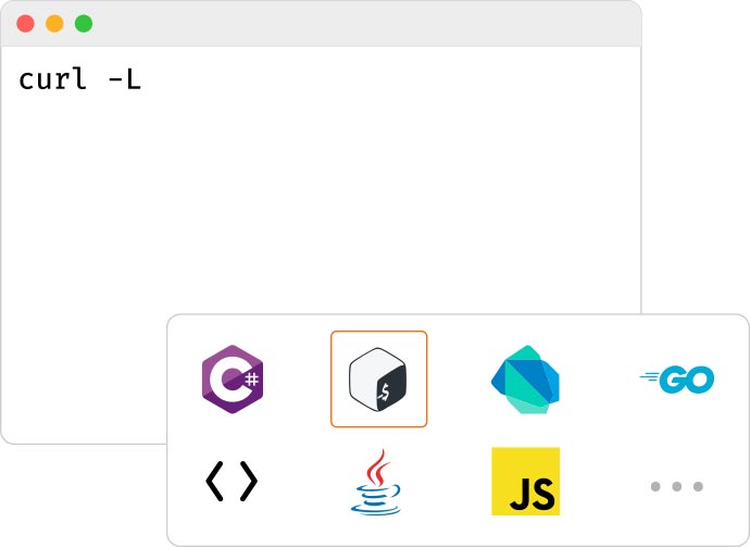 api curl